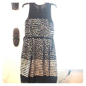 Brand New - Polka spot dress